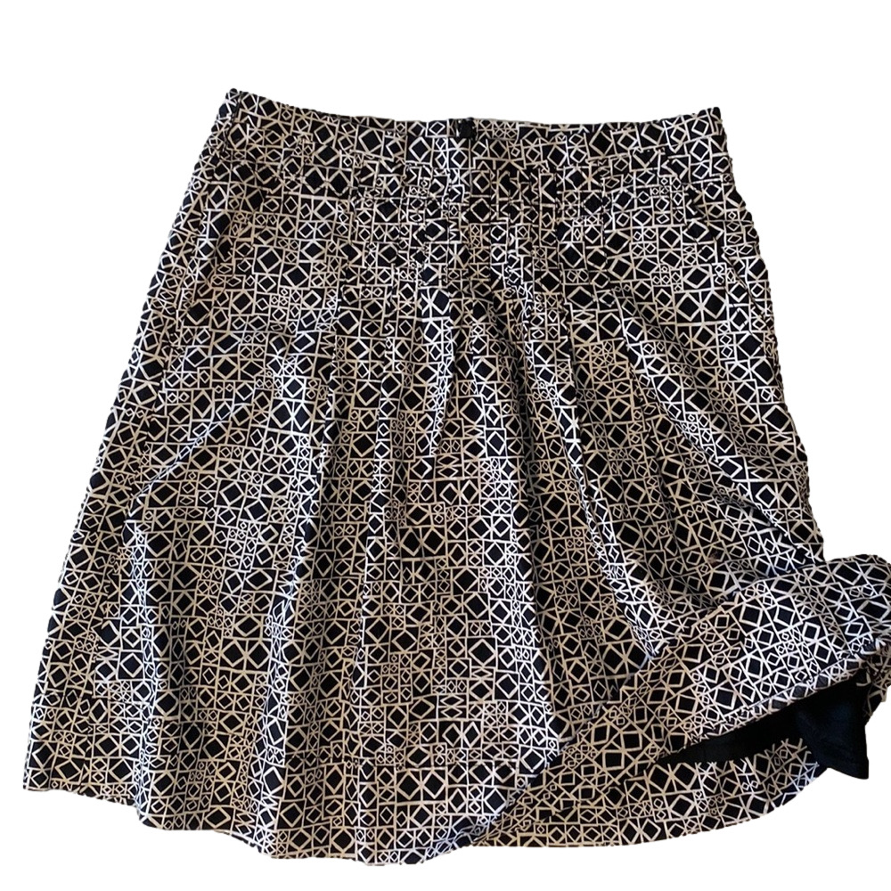 BCBG Skirt, pleated lined.